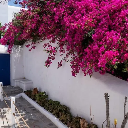 Olive Tree Maisonette Vila *