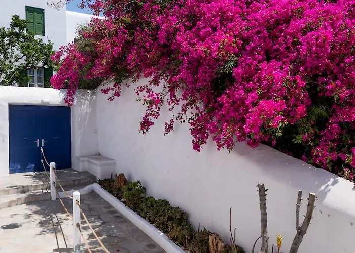 Olive Tree Maisonette Villa *