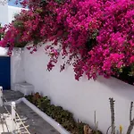 Olive Tree Maisonette Villa *